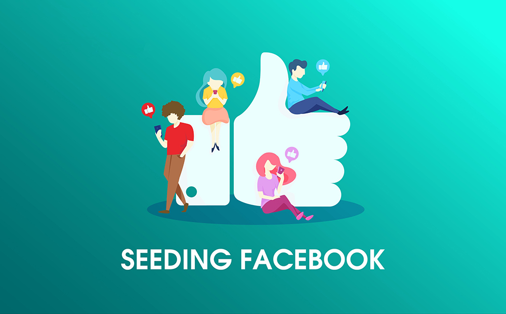 dich vu seeding facebook 4